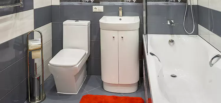 Hansgrohe Shaving Mirror North Bethesda